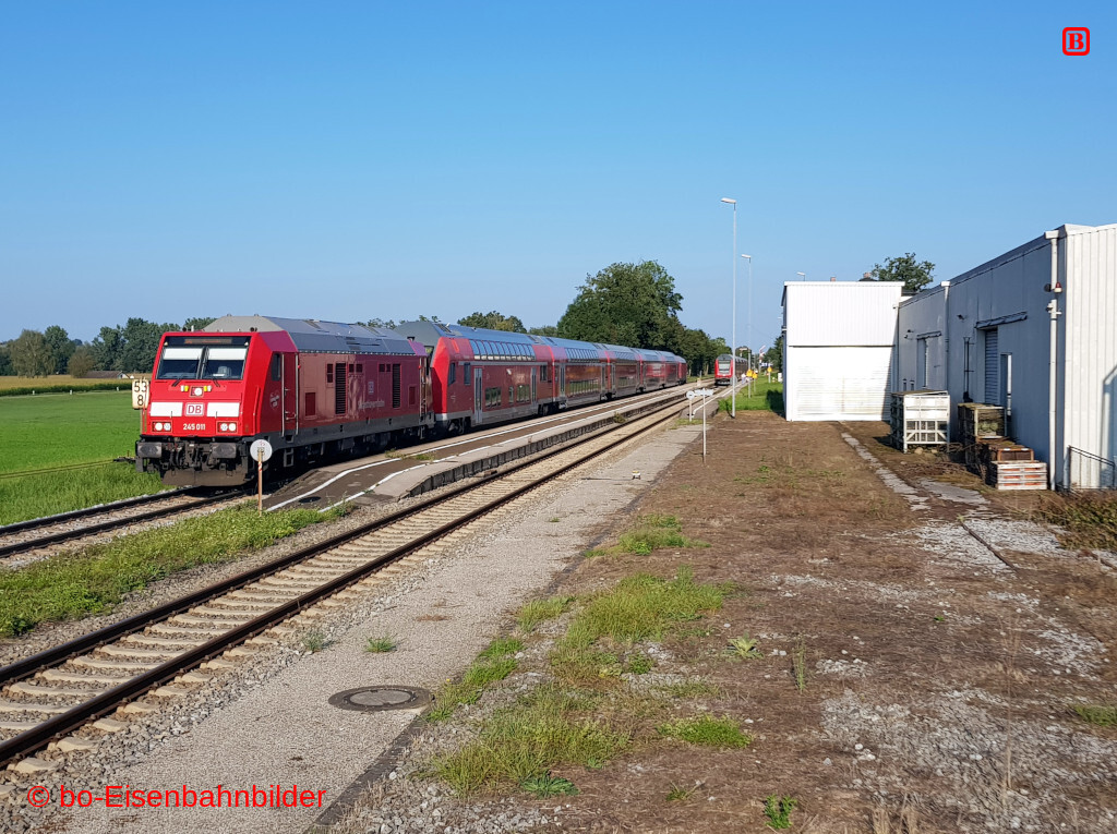 20240824_180125-db.jpg