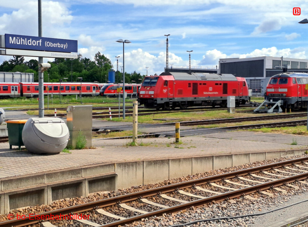 20250529_095944-db.jpg