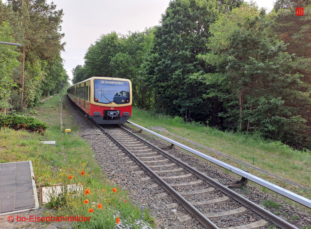 20250604_082140-db.jpg