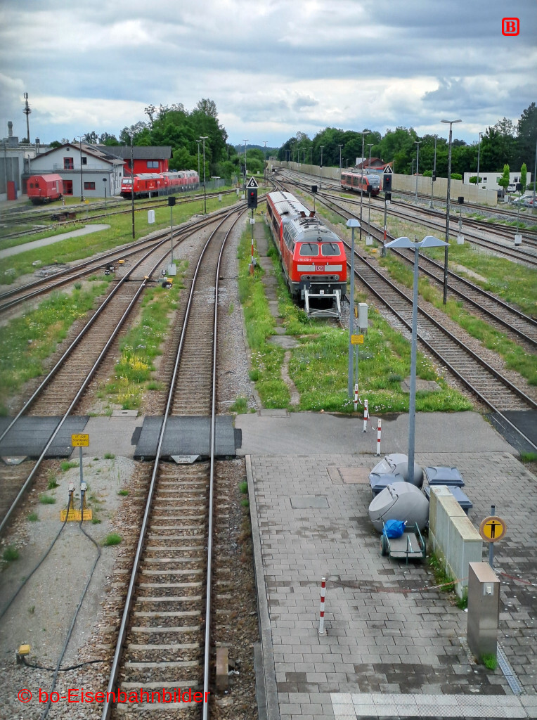 20250707_112449-db.jpg