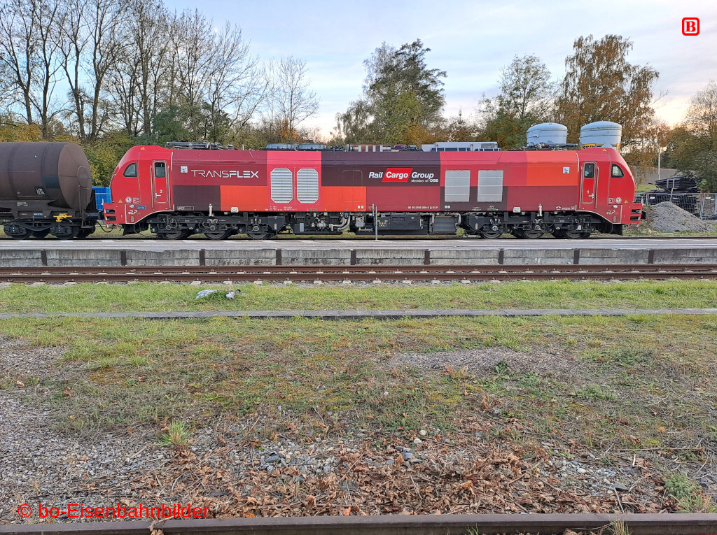 20251029_164924-db.jpg