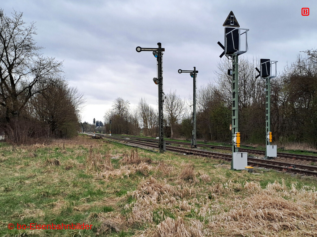 20260404_174650-db.jpg