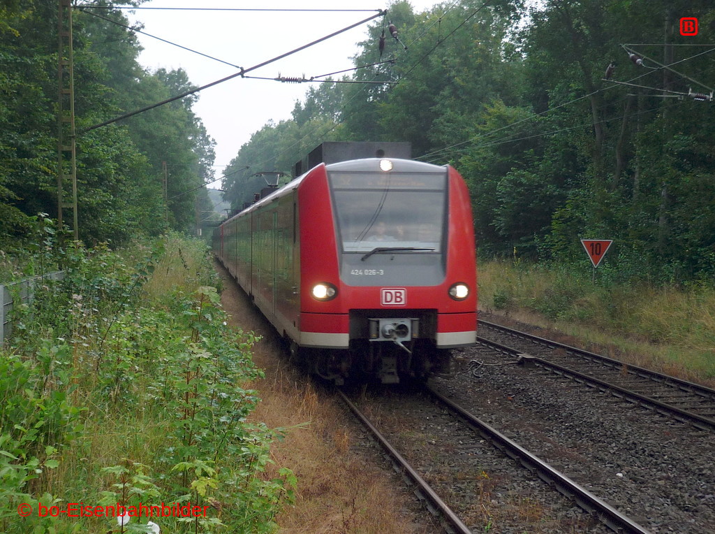 P3140370-db.JPG