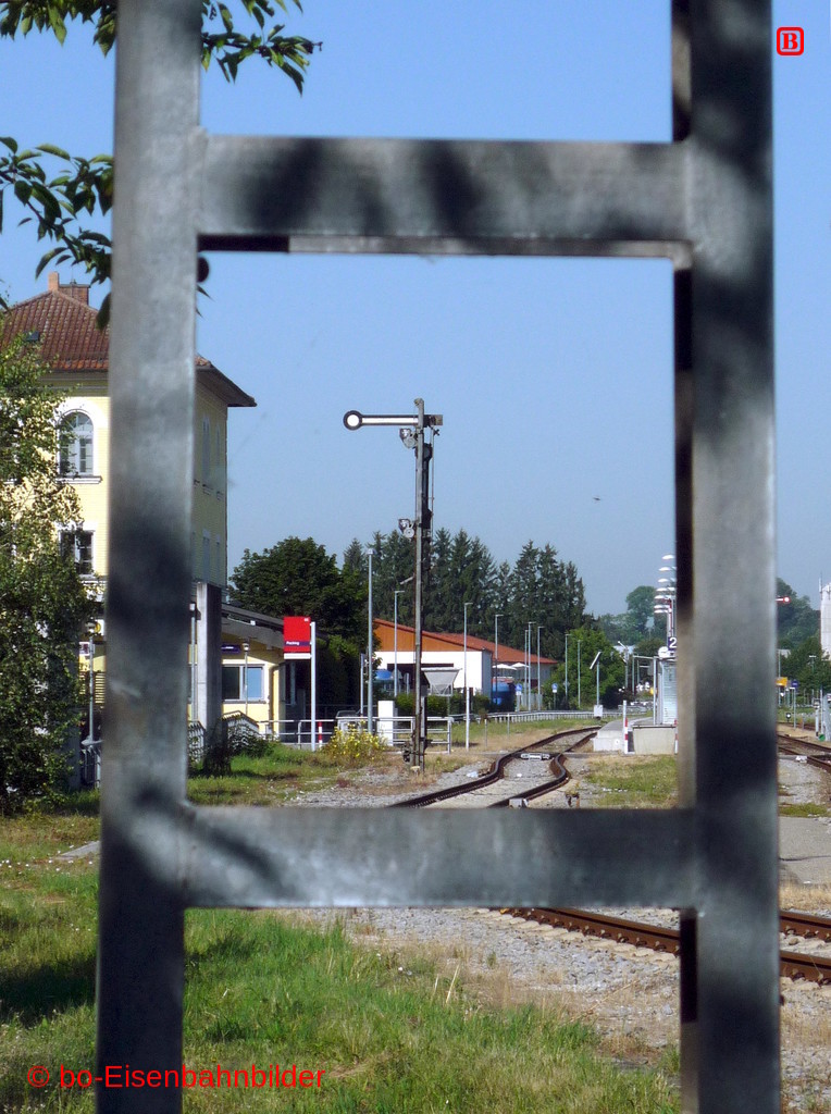 P3190722-db.JPG