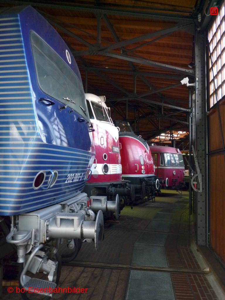 P3100365-db.JPG