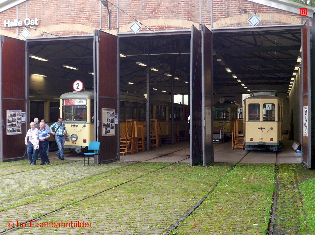 P3120456-db.JPG