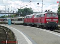 P3070070-db.JPG