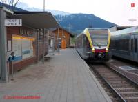 P3100968-db.JPG P3100968-db.JPG