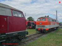P3110529-db.JPG